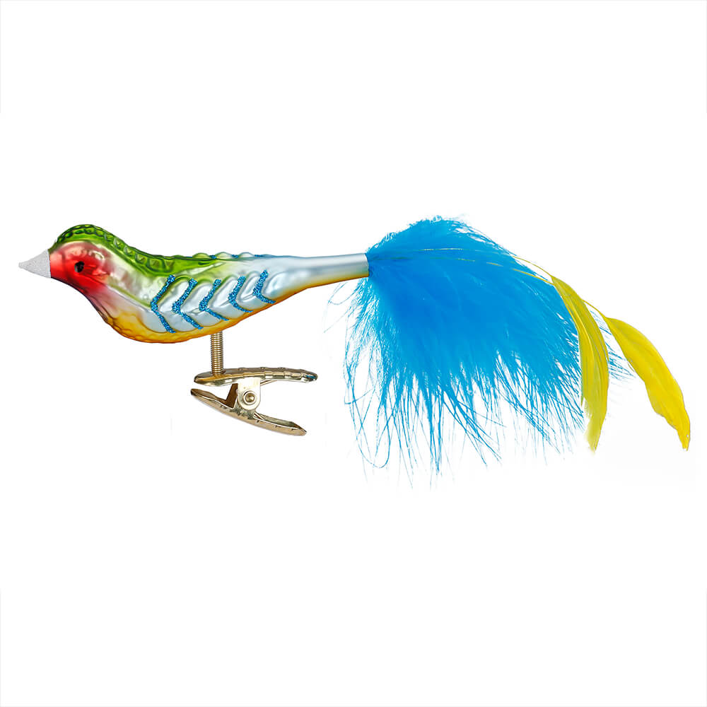Rainbow Finch Ornament