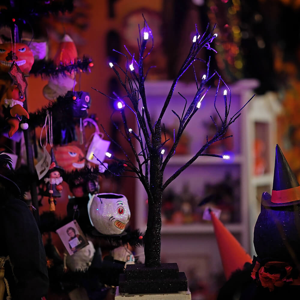 Black Twig Light Up Halloween Tree