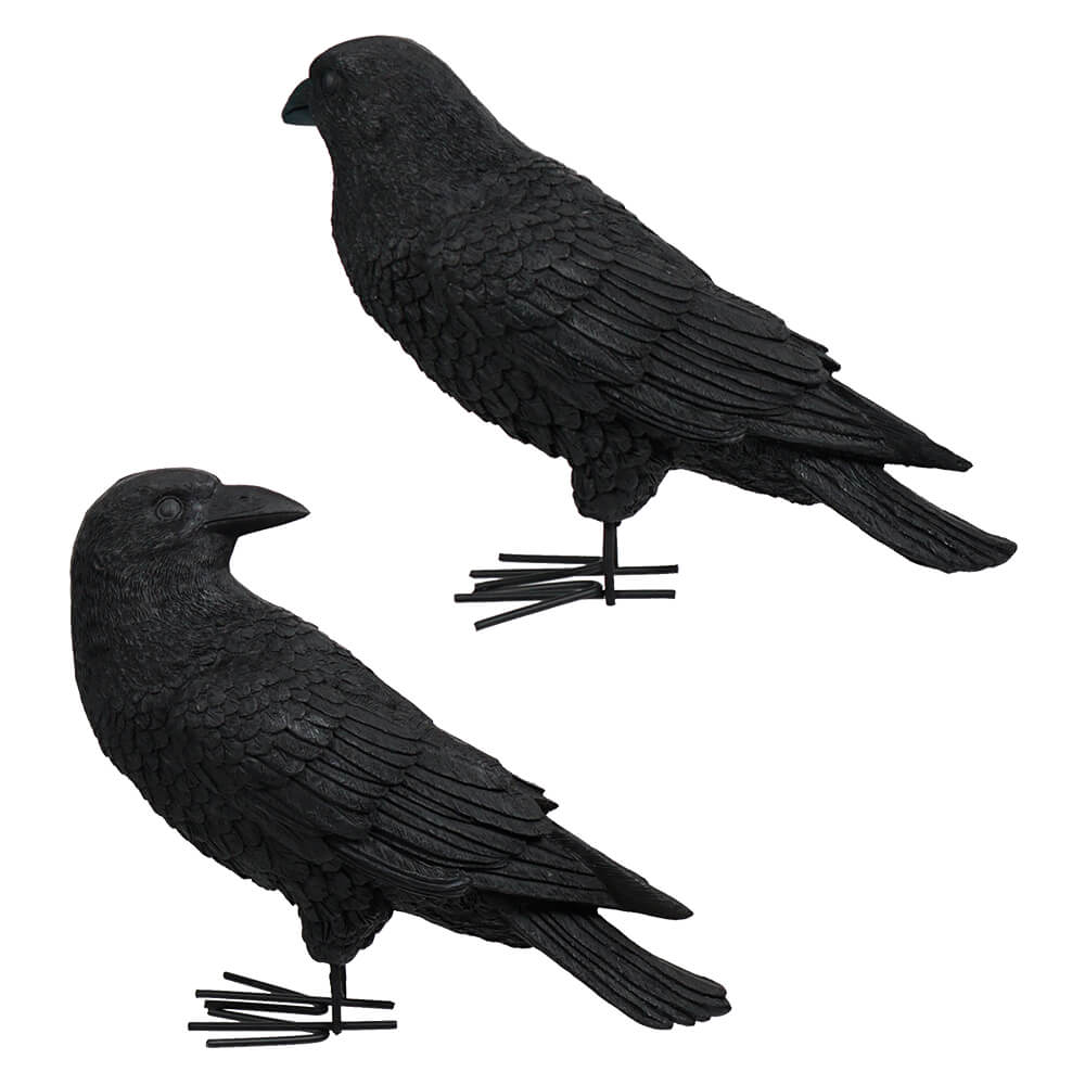 Fright Night Crows Set/2
