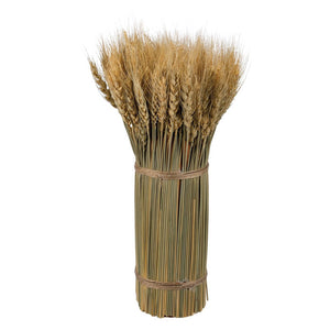 A rustic 15 inch large wheat bundle bouquet tied with natural twine perfect for a thanksgiving bouquet
