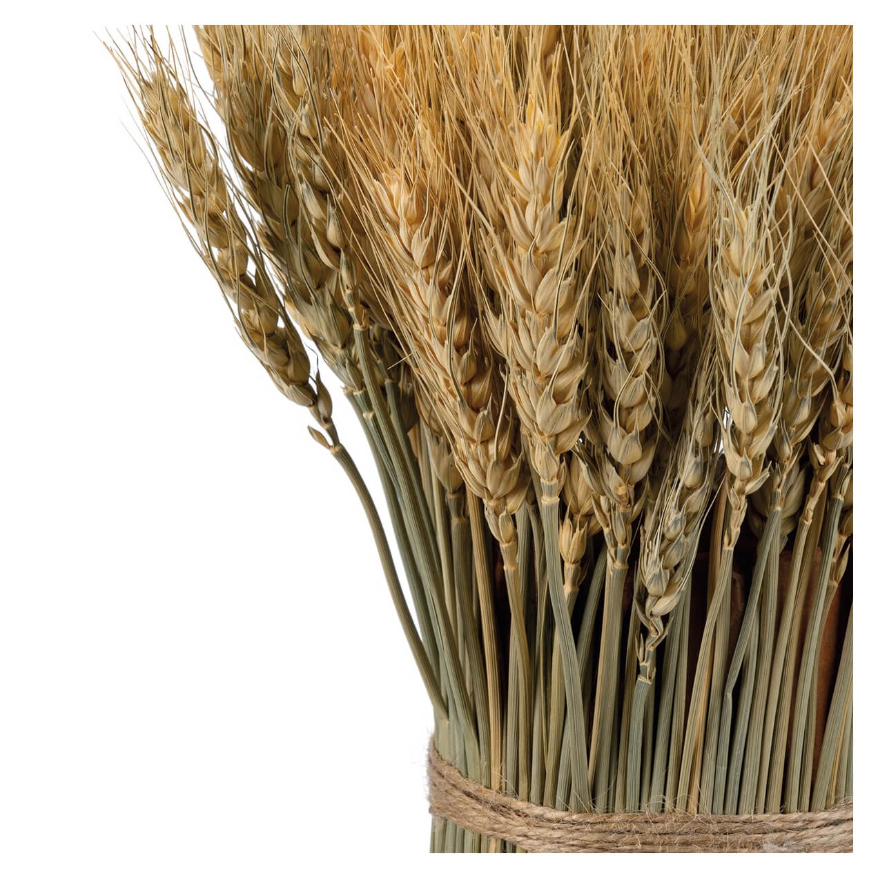 A rustic 15 inch large wheat bundle bouquet tied with natural twine perfect for a thanksgiving bouquet