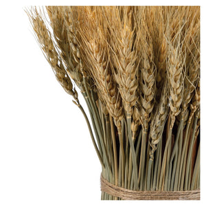 A rustic 15 inch large wheat bundle bouquet tied with natural twine perfect for a thanksgiving bouquet