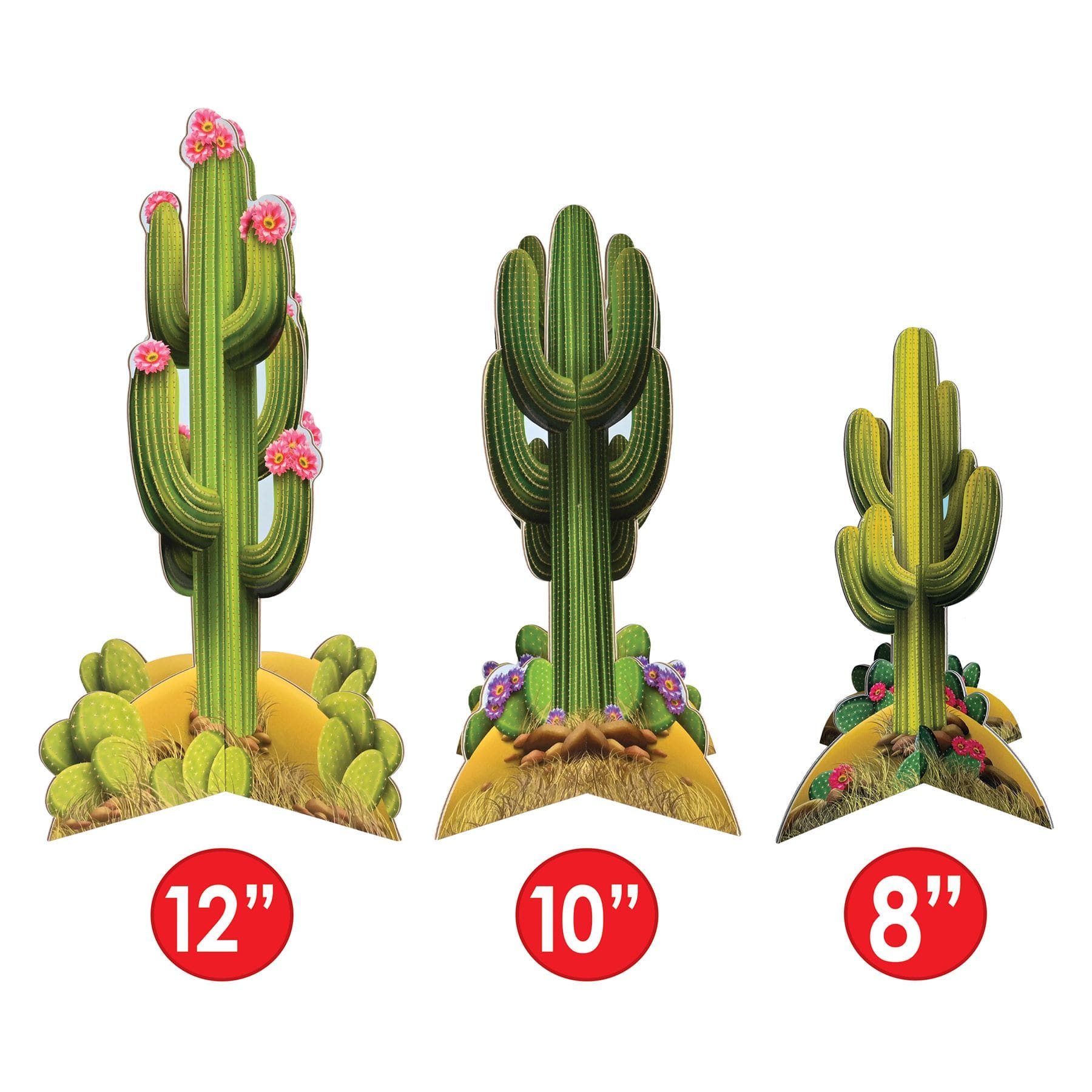 3-D Cactus Centerpieces - Everyday