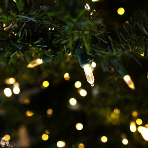 50 Warm LED Light Strand