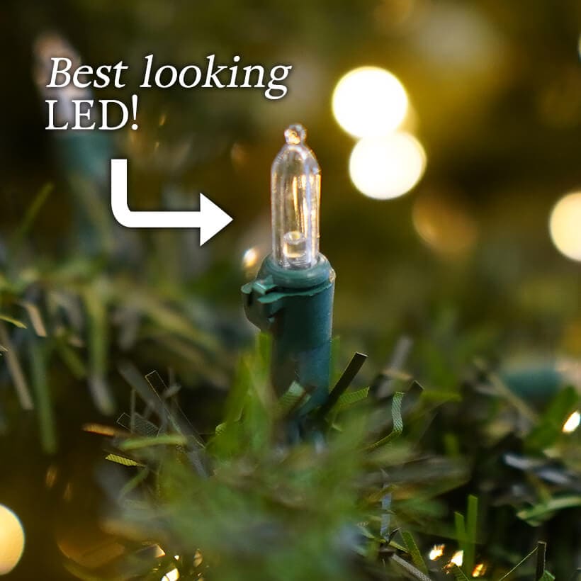 50 Warm LED Light Strand
