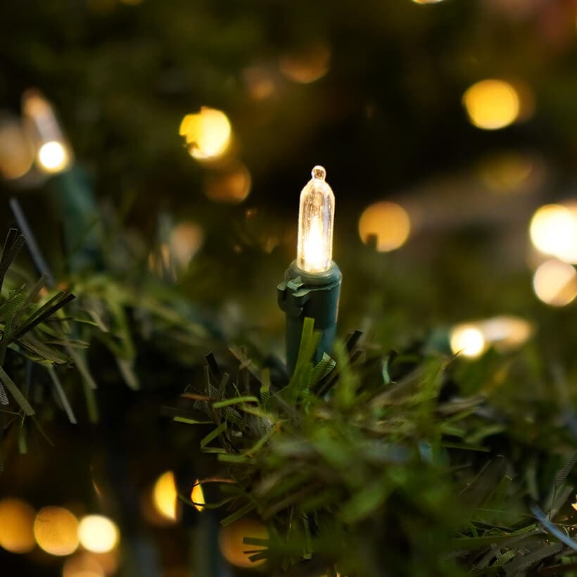 50 Warm LED Light Strand