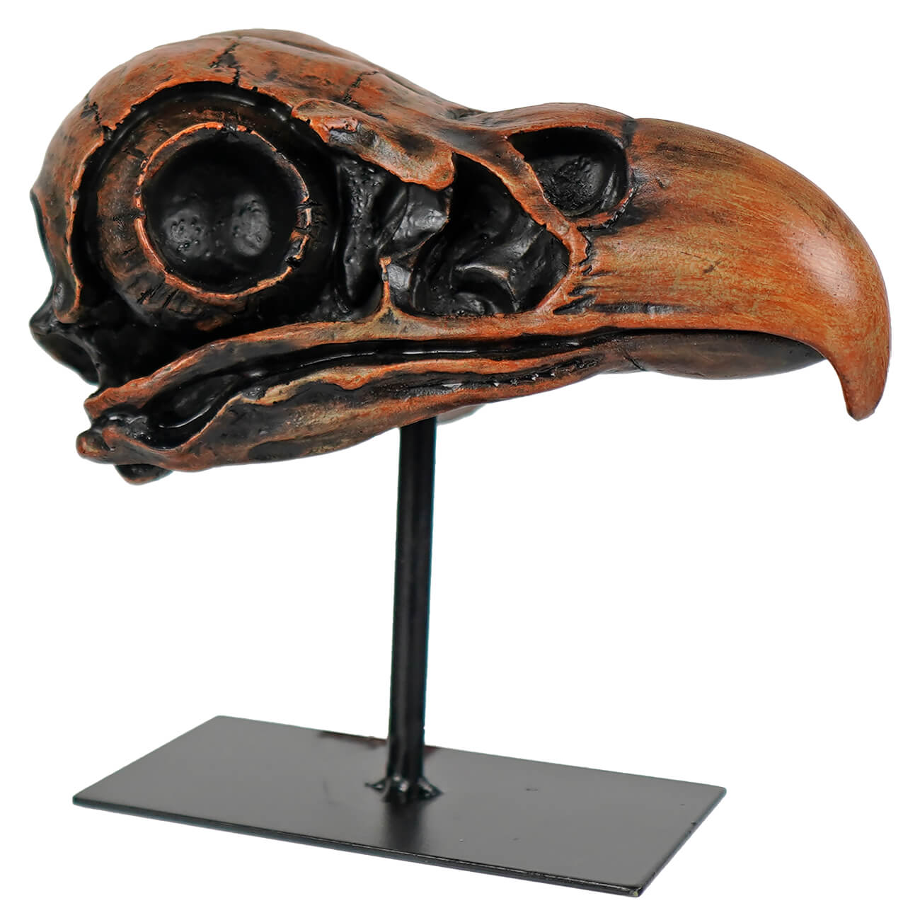 7.5" Last Flight Bird Skull On Stand