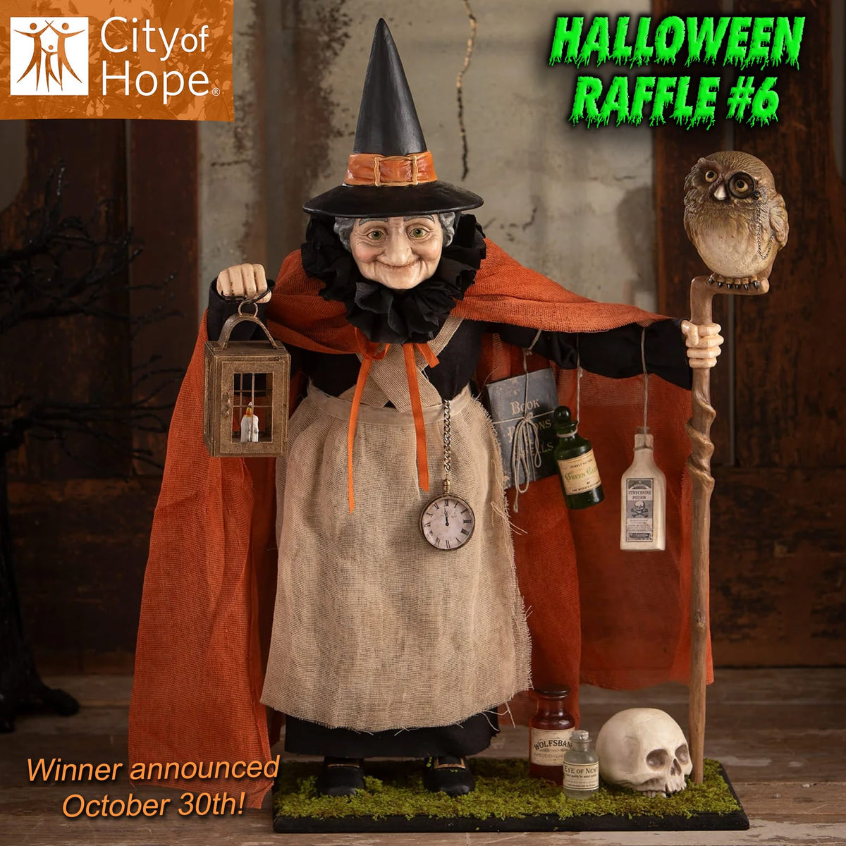 *CHARITY RAFFLE #6* Halloween Raffle for City of Hope