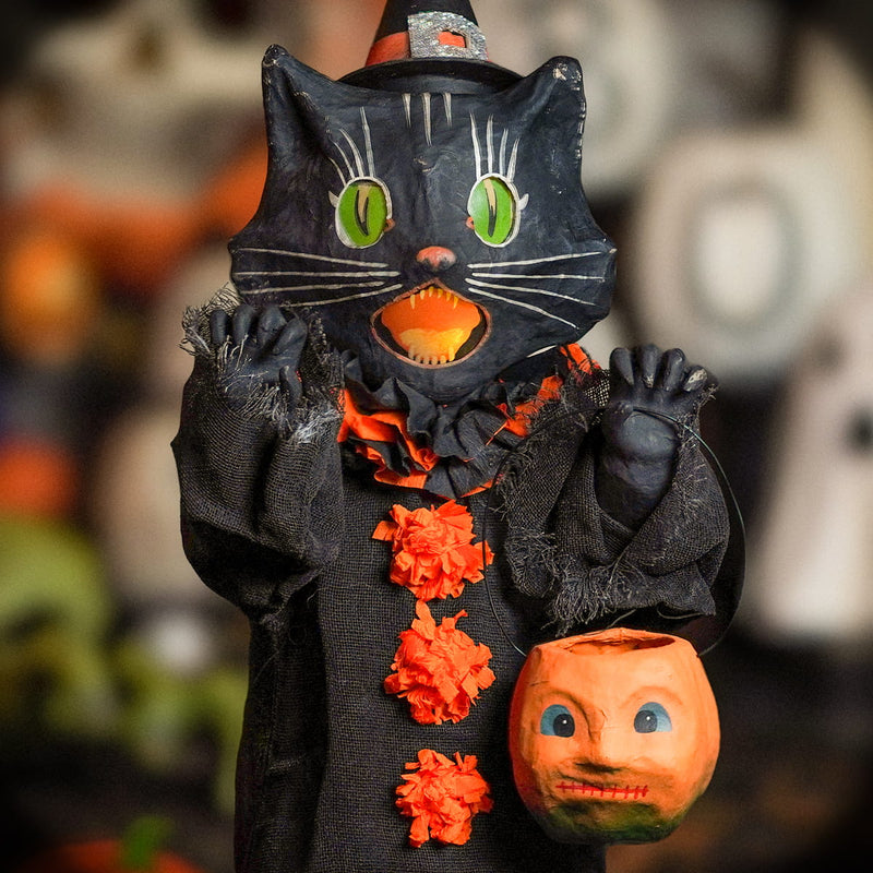 Black Cats collection