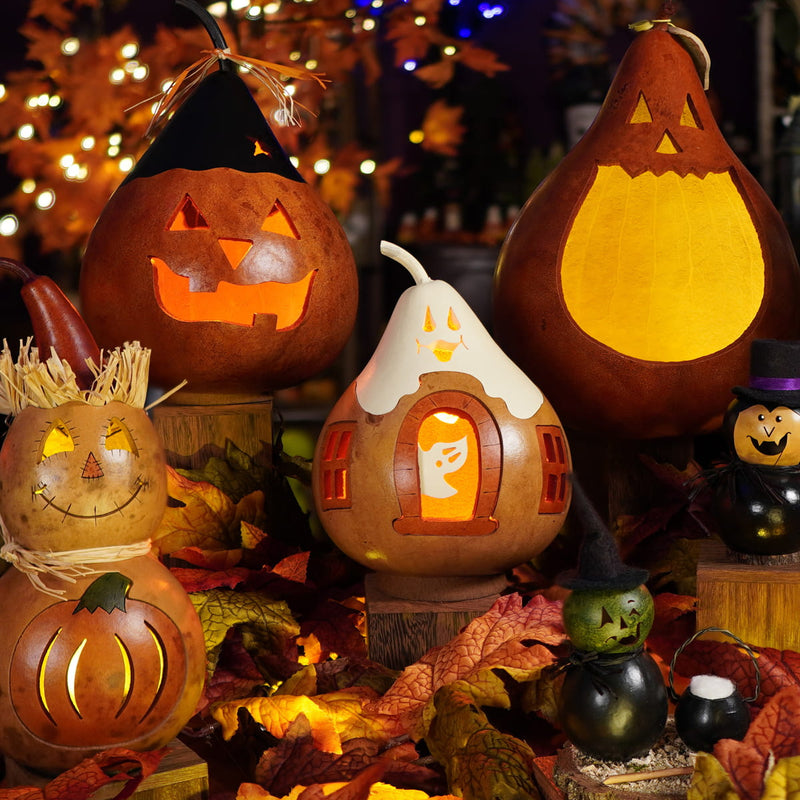 Pumpkins & Gourds collection