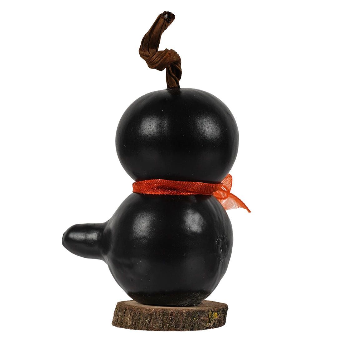 Lil' Crow ~ Handcrafted Crow Gourd
