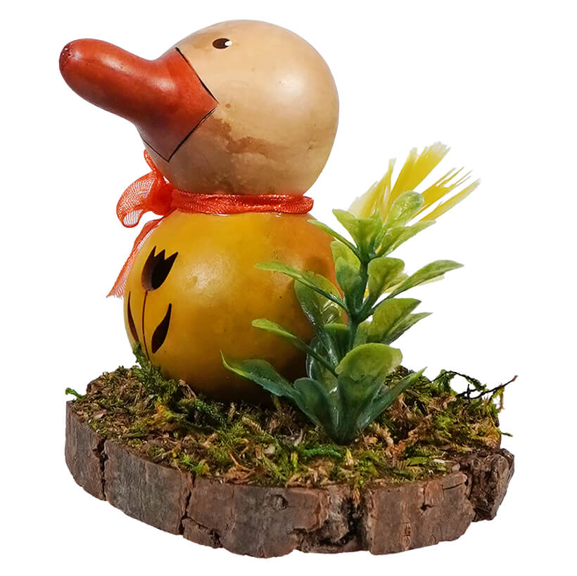 Dillard Duck Gourd Scene With Tulip Cutout & Succulent