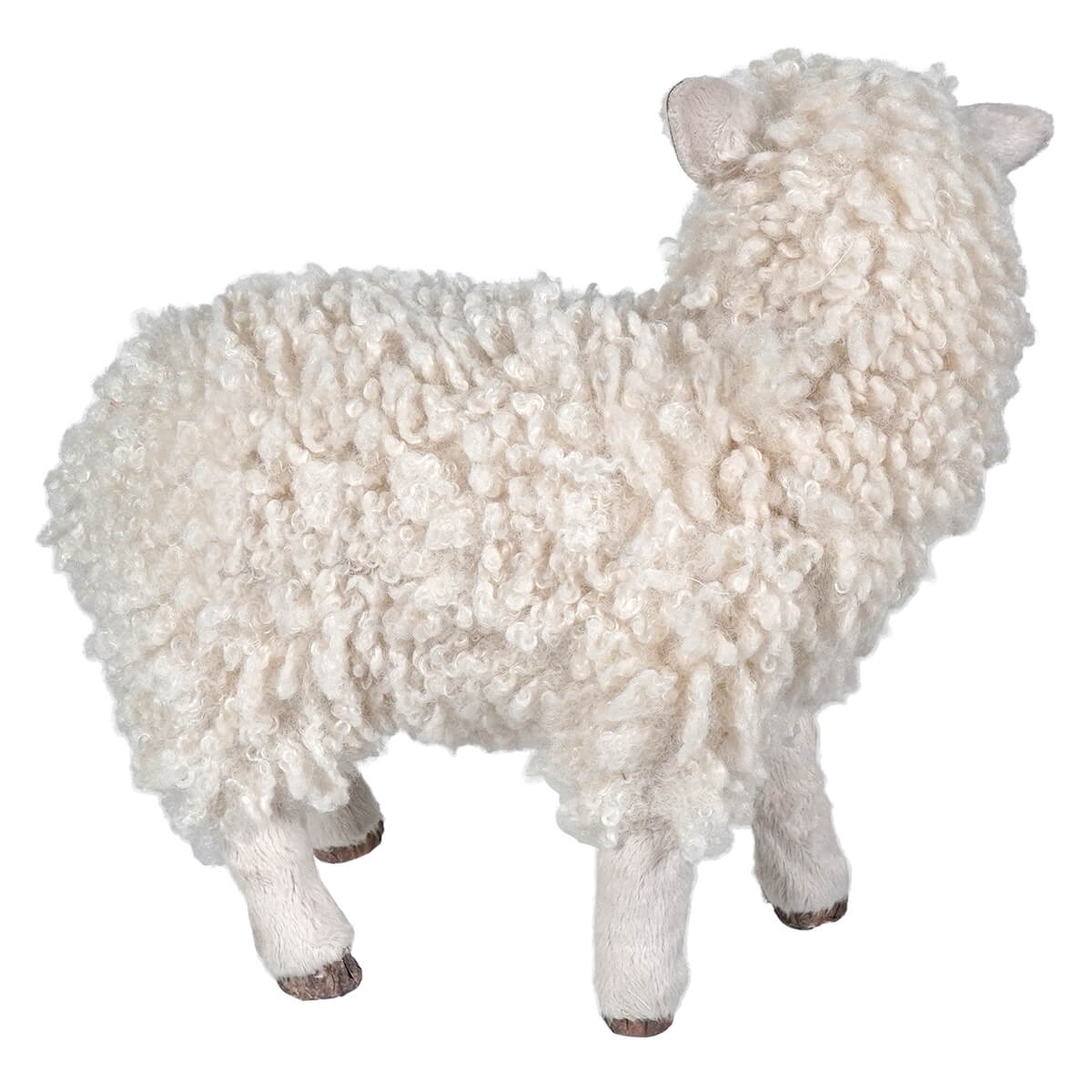 Cream Wooly Lamb