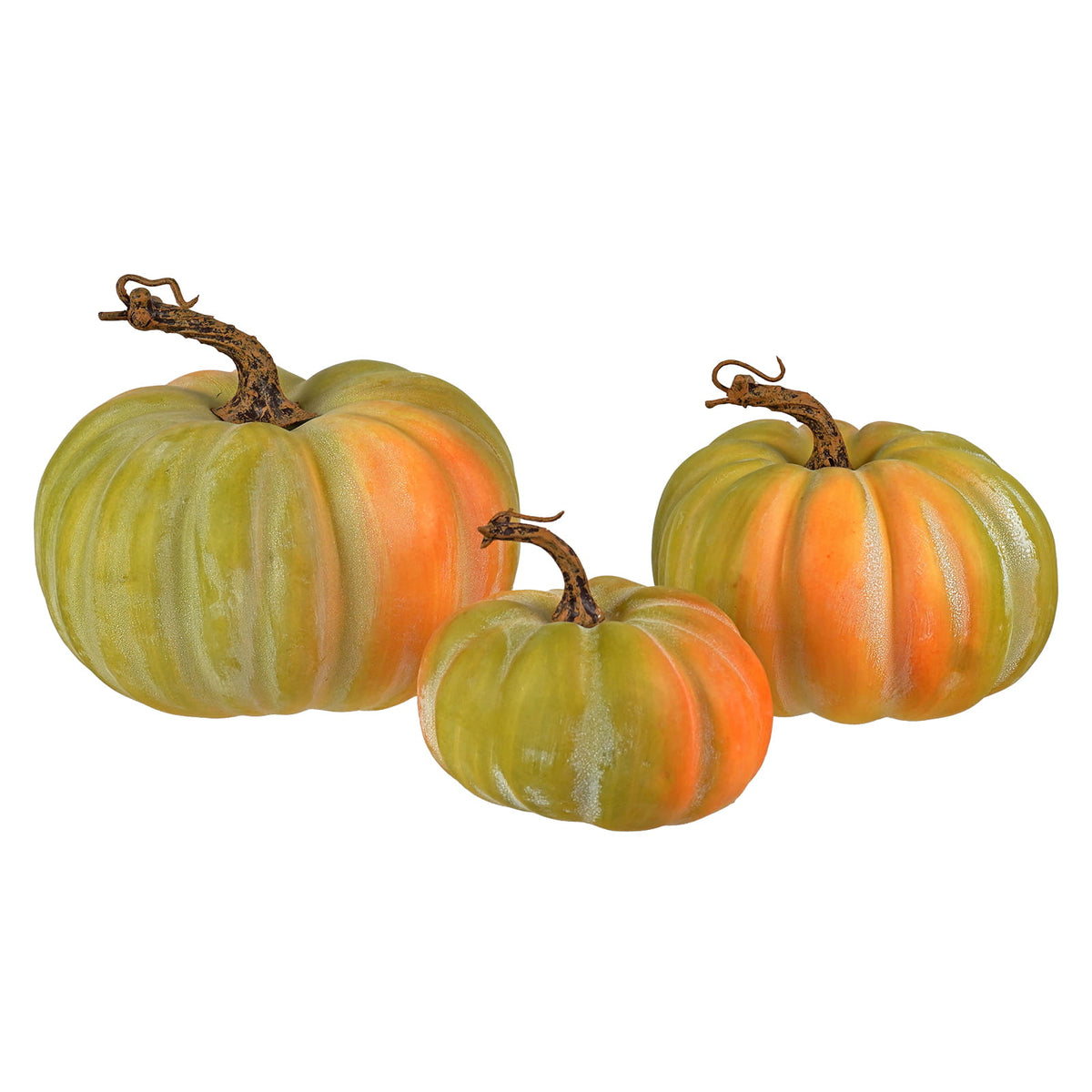 Harvest Pumpkins Set/3
