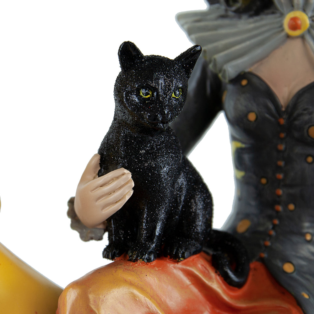 Witch Sitting Upon Crescent Moon Holding Black Cat