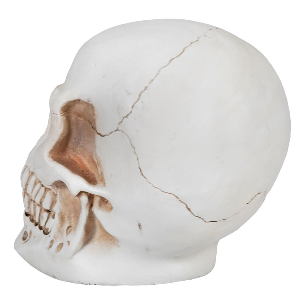 Lighted Skull With Flicker Flame Candle Eyes