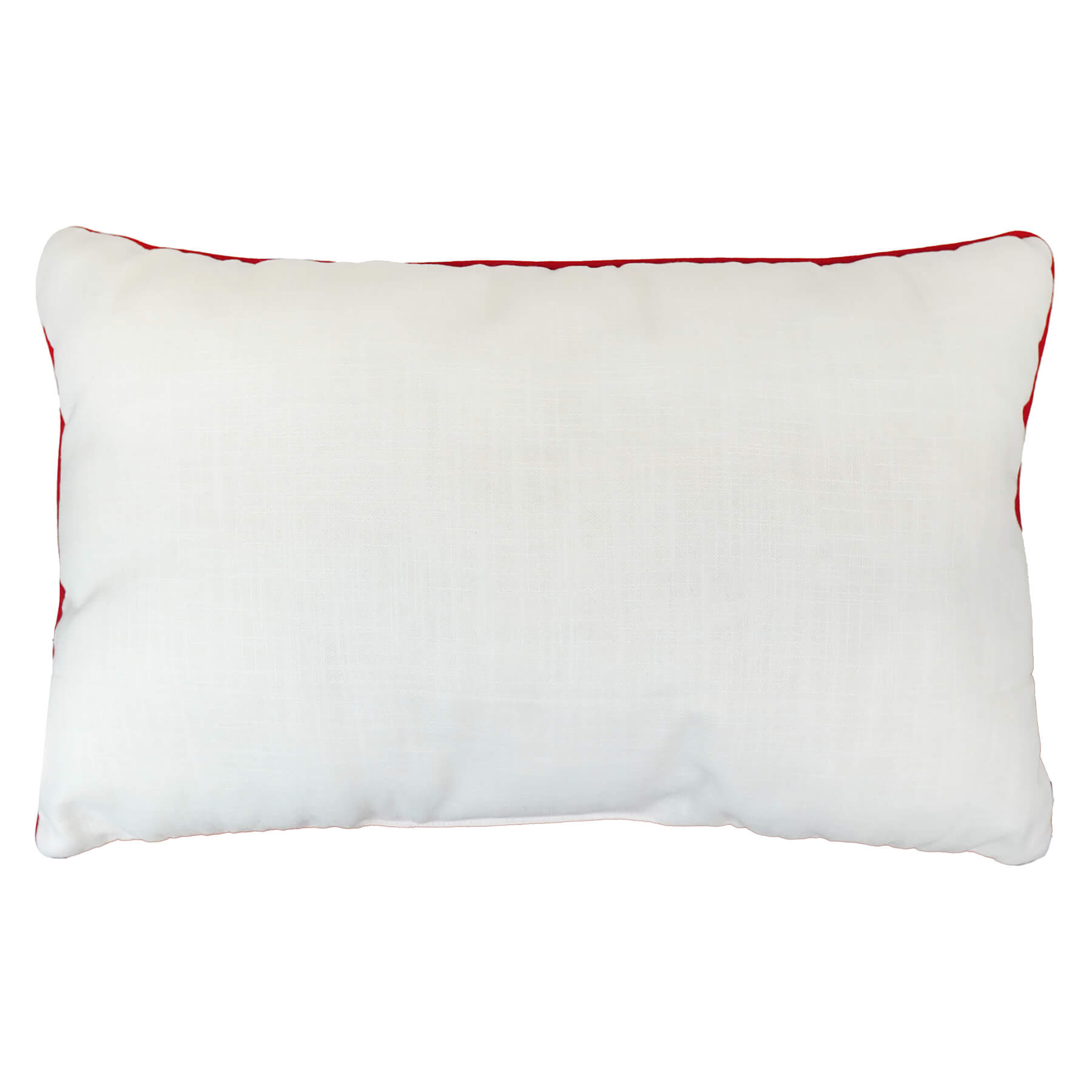 24" Large "America 250" Patriotic Pillow
