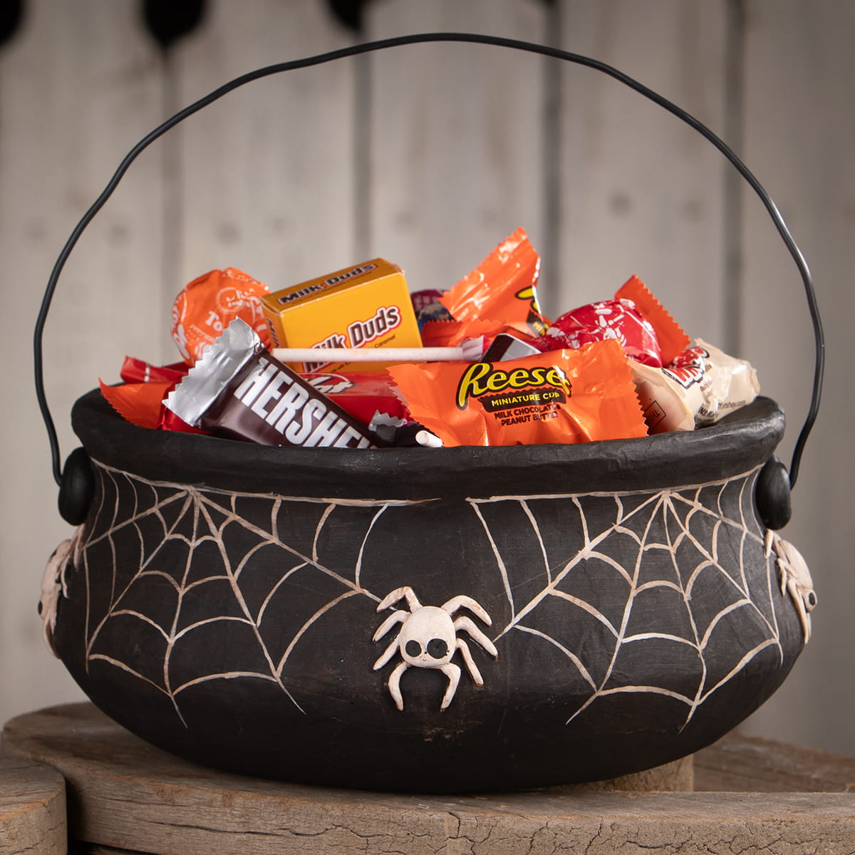 Creepy Crawly Cauldron