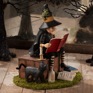 A whimsical ghost stories witch figurine with halloween witches decor, black orange hat, glasses, striped stockings, and frog on head