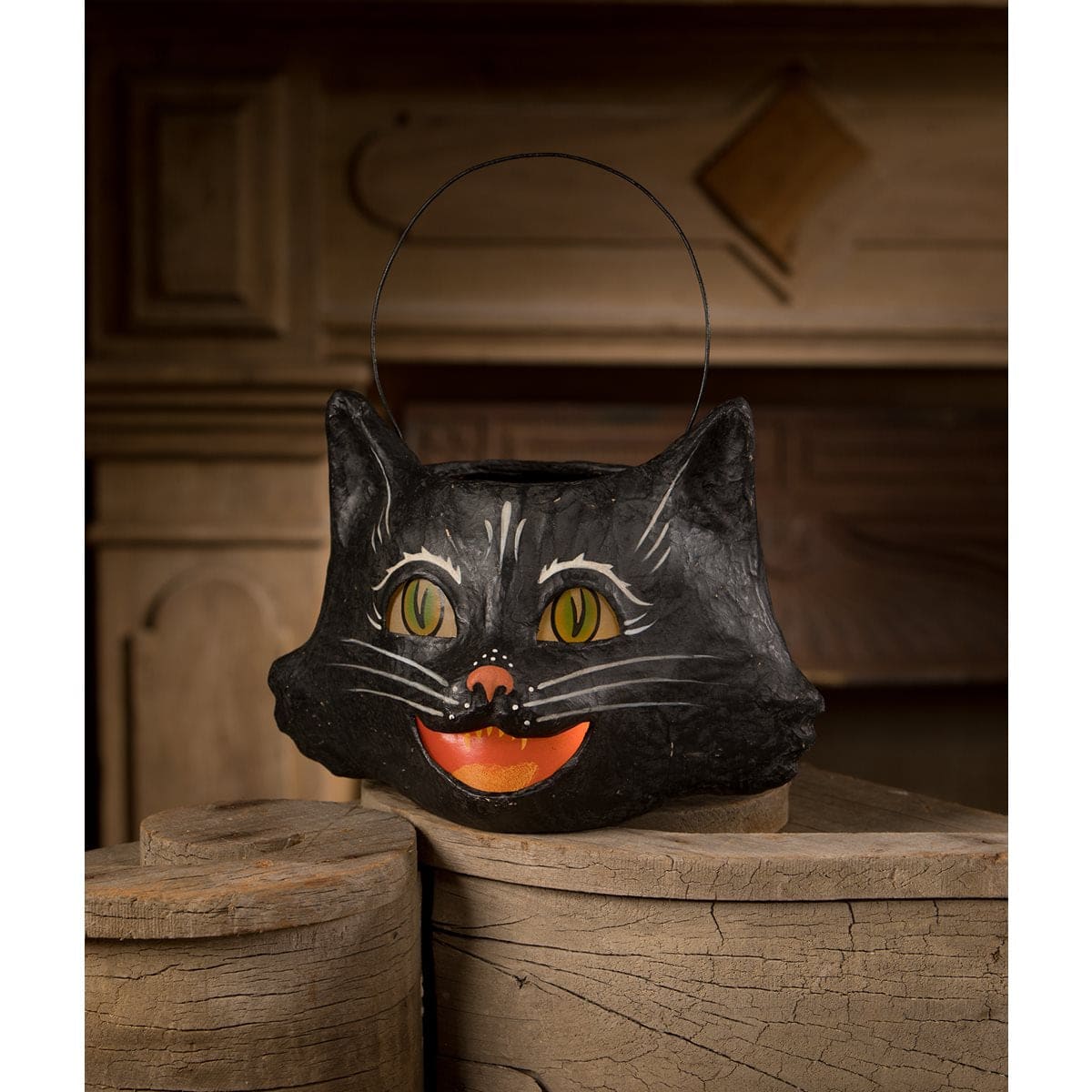 Amusing Black Cat Bucket