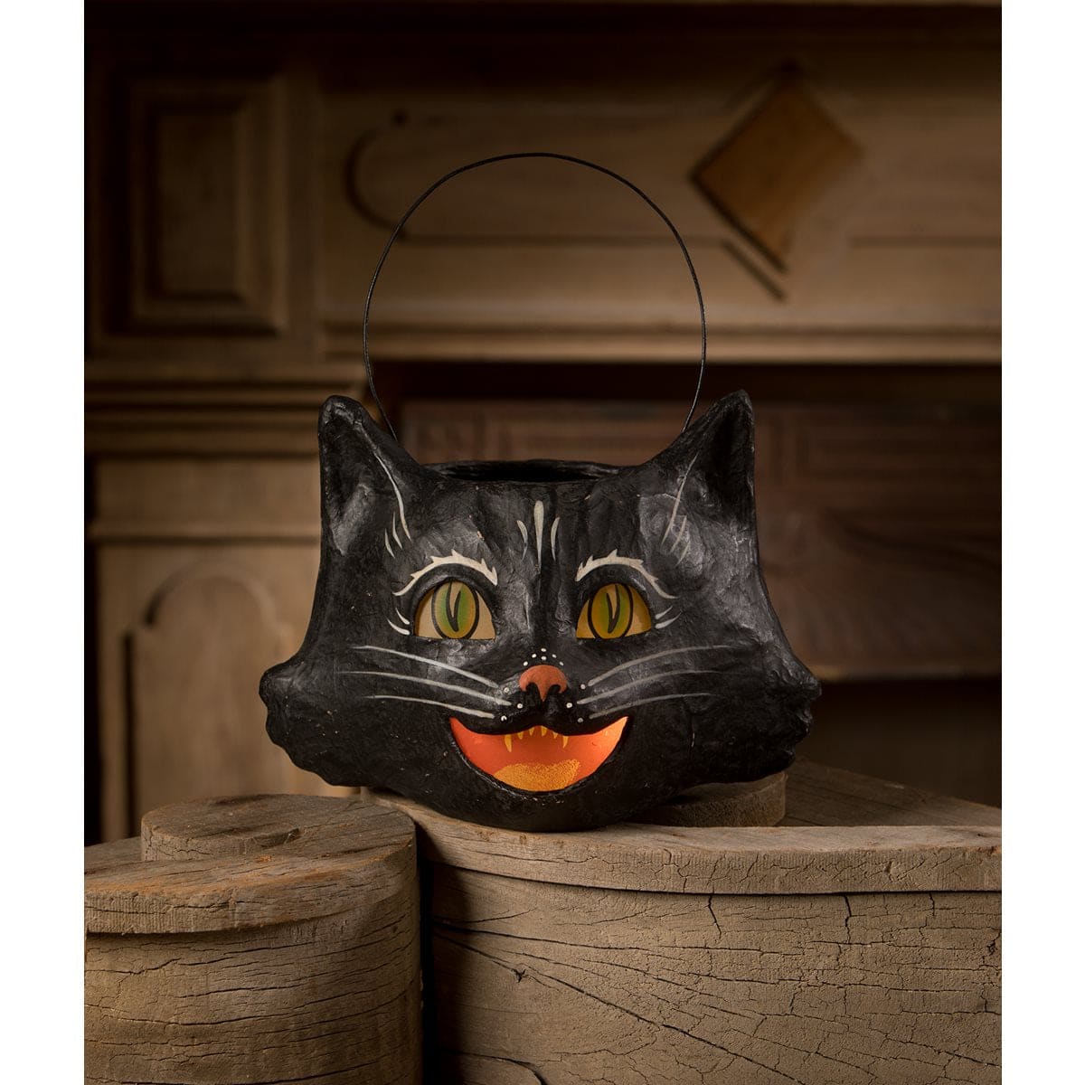 Amusing Black Cat Bucket