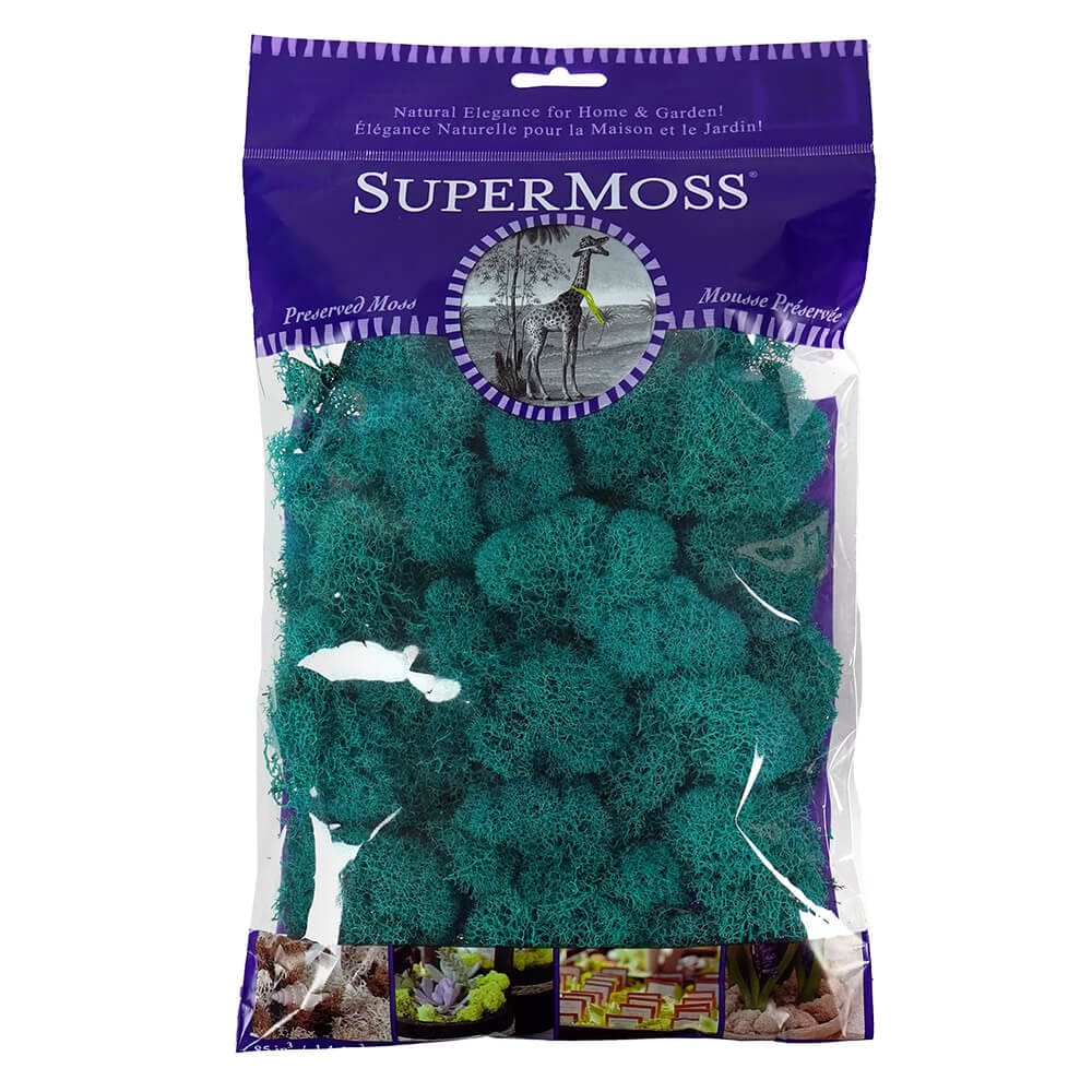 Azul Preserved Reindeer Moss