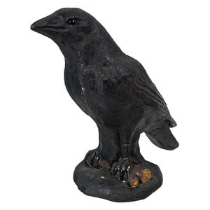 Black Crow Perched On Branch - Halloween