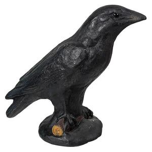 Black Crow Perched On Branch - Halloween