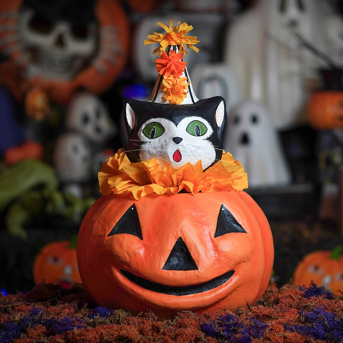 A black and white cat with green eyes wears a party hat on an orange pumpkin in cecil’s hang out pm