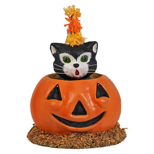 A halloween cat-in-pumpkin decoration for cecil’s hang featuring an orange pumpkin with a cute black cat inside