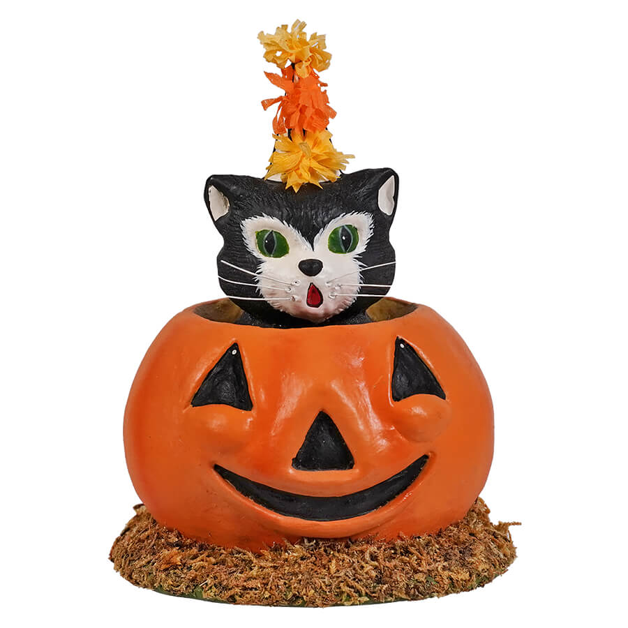 A halloween cat-in-pumpkin decoration for cecil’s hang featuring an orange pumpkin with a cute black cat inside