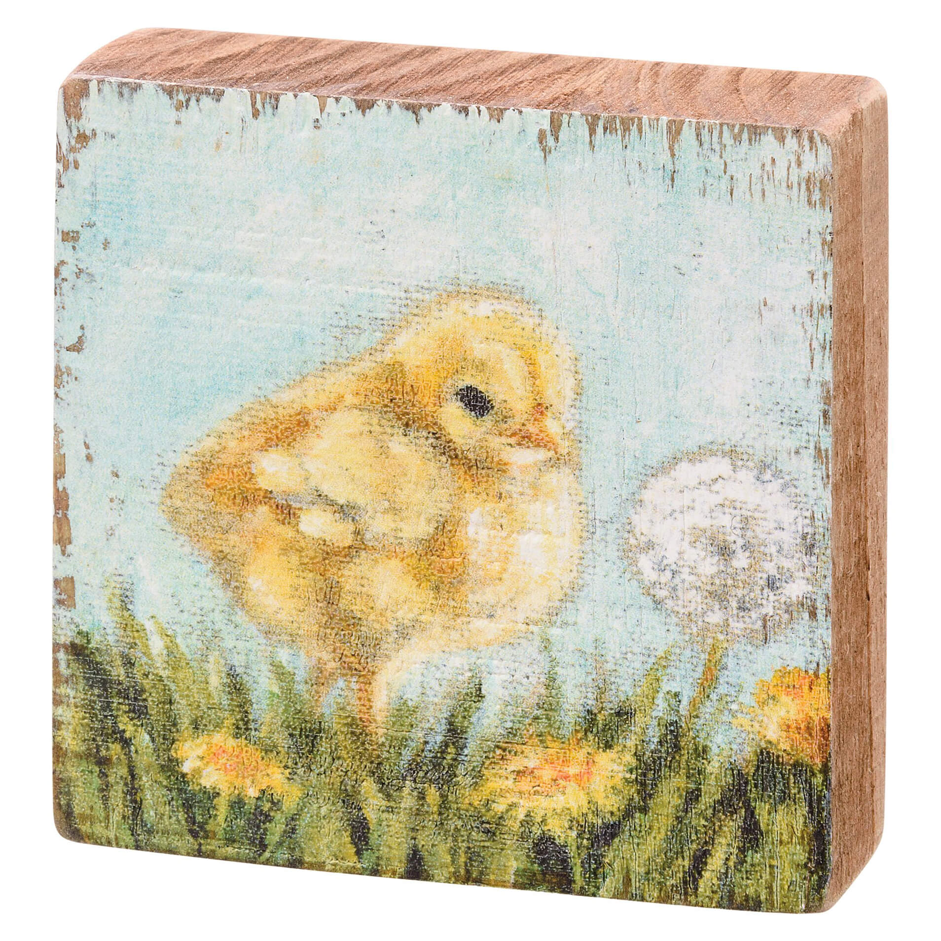 Yellow baby chick standing among dandelions.