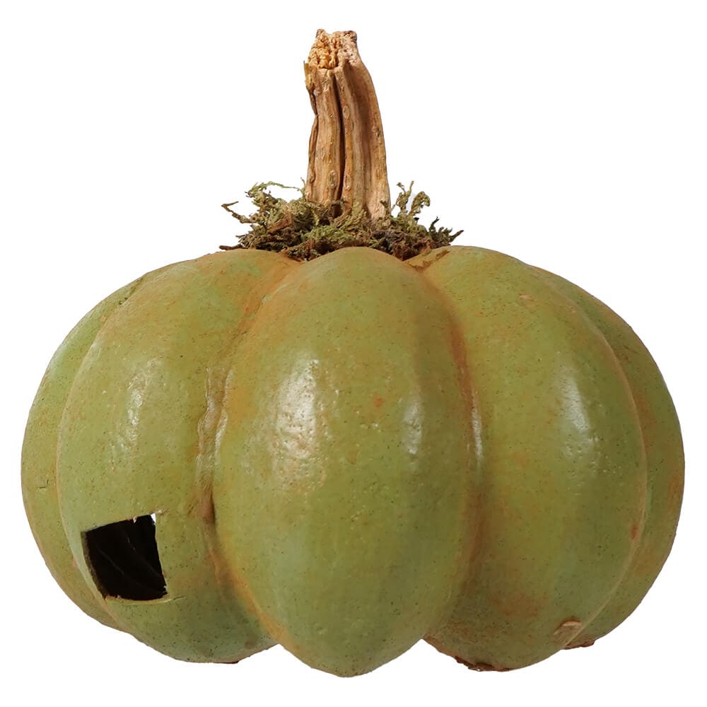 Classic Green Pumpkin Jack-O’-Lantern - Halloween