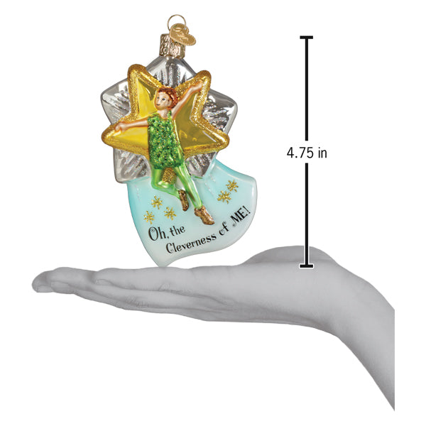A christmas glass ornament of green tinkerbell with gold wings on a silver star base reading oh the cleverness of me