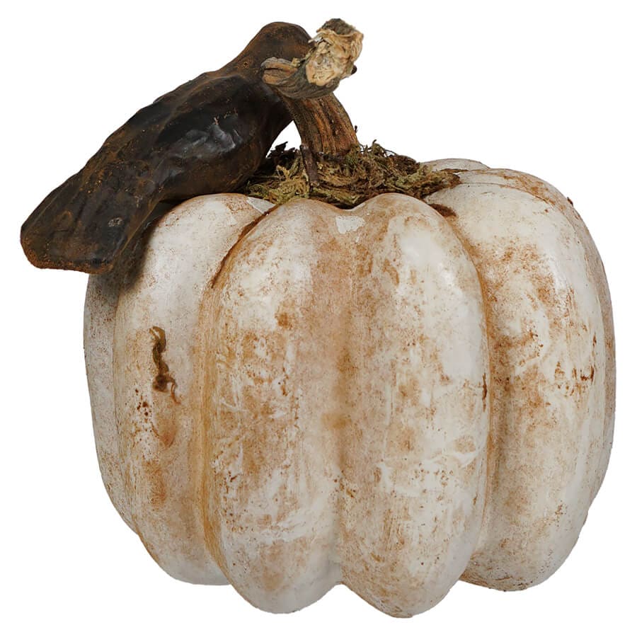 Crow Sitting Upon Ivory Pumpkin