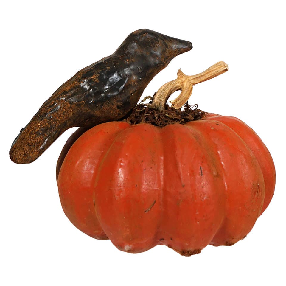 Crow Sitting Upon Orange Pumpkin