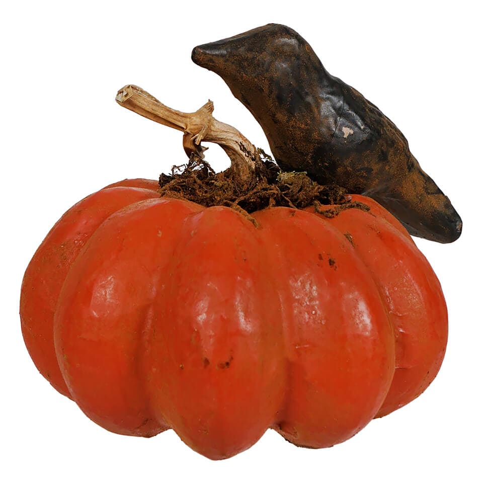 Crow Sitting Upon Orange Pumpkin