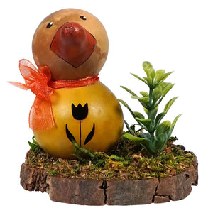 Dillard duck gourd figurine with orange bow and tulip cutout featuring a succulent from meadowbrooke gourds