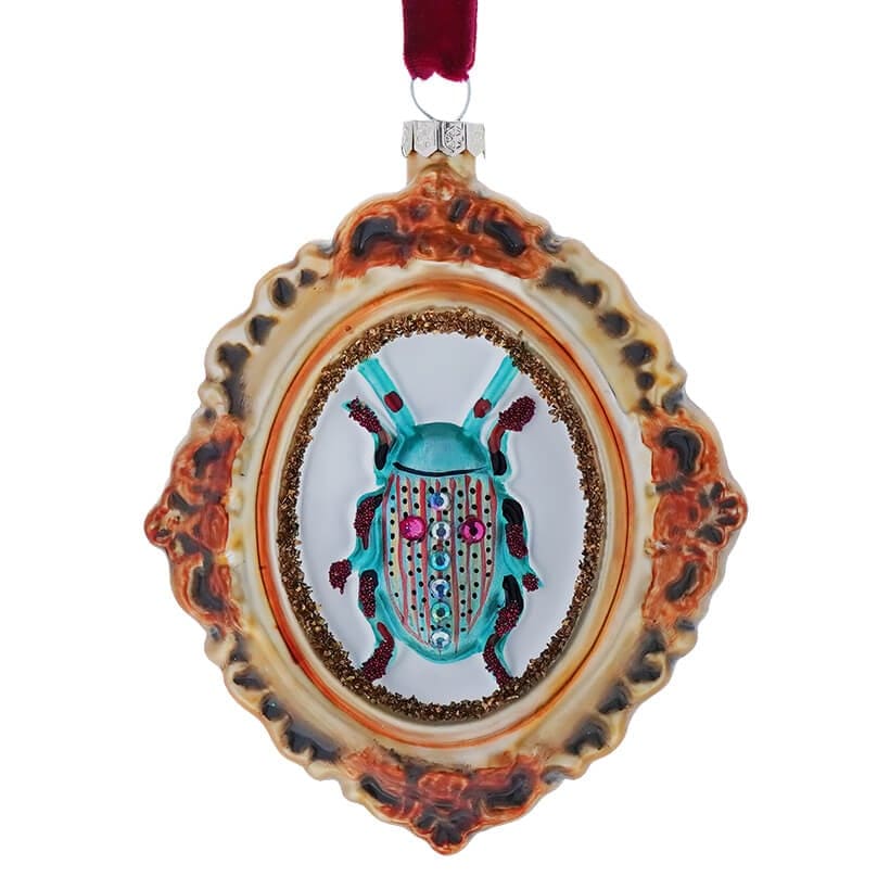 Framed Beetle Curiosity Ornament