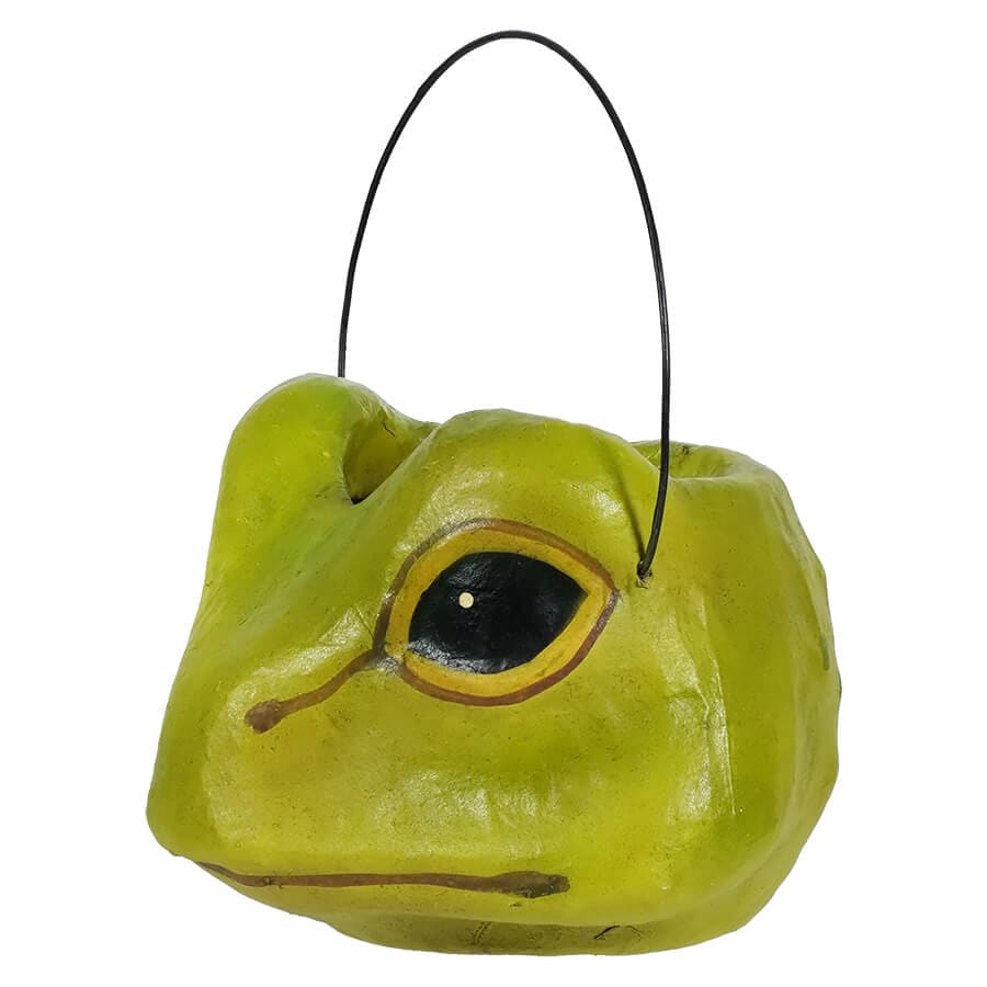 Froggie Bucket