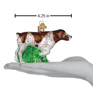 A german shorthaired pointer christmas glass ornament with brown and white spots and gold accents on green grass