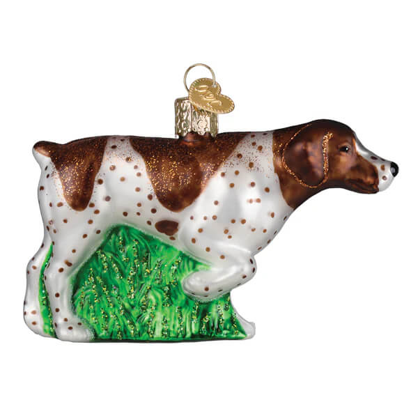 Brown and white spotted german shorthaired pointer christmas glass ornament with green grassy base pointer ornament