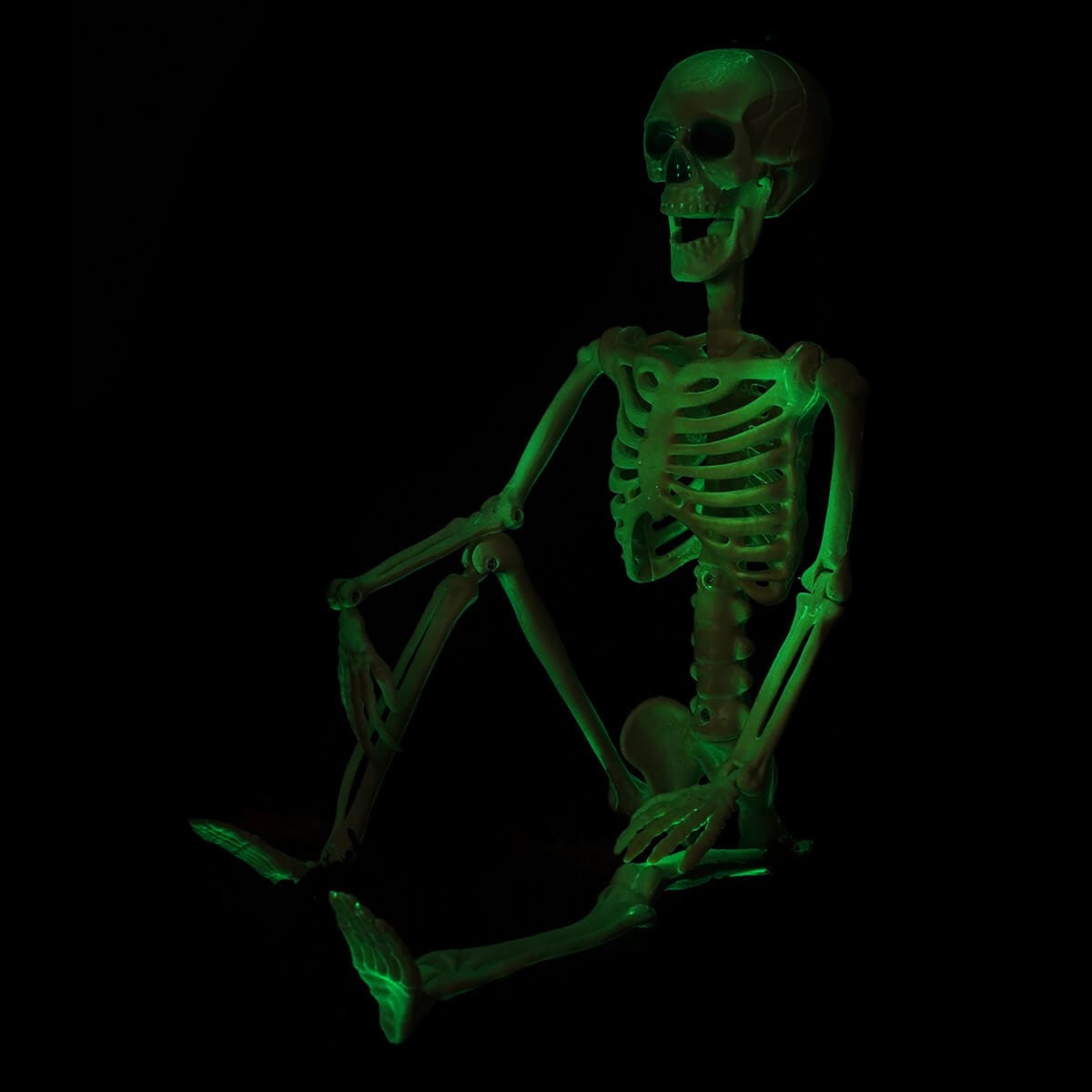 Glow In The Dark Posable Jointed Skeleton - Halloween