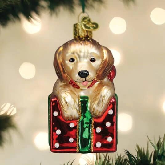 Golden Puppy Surprise Ornament