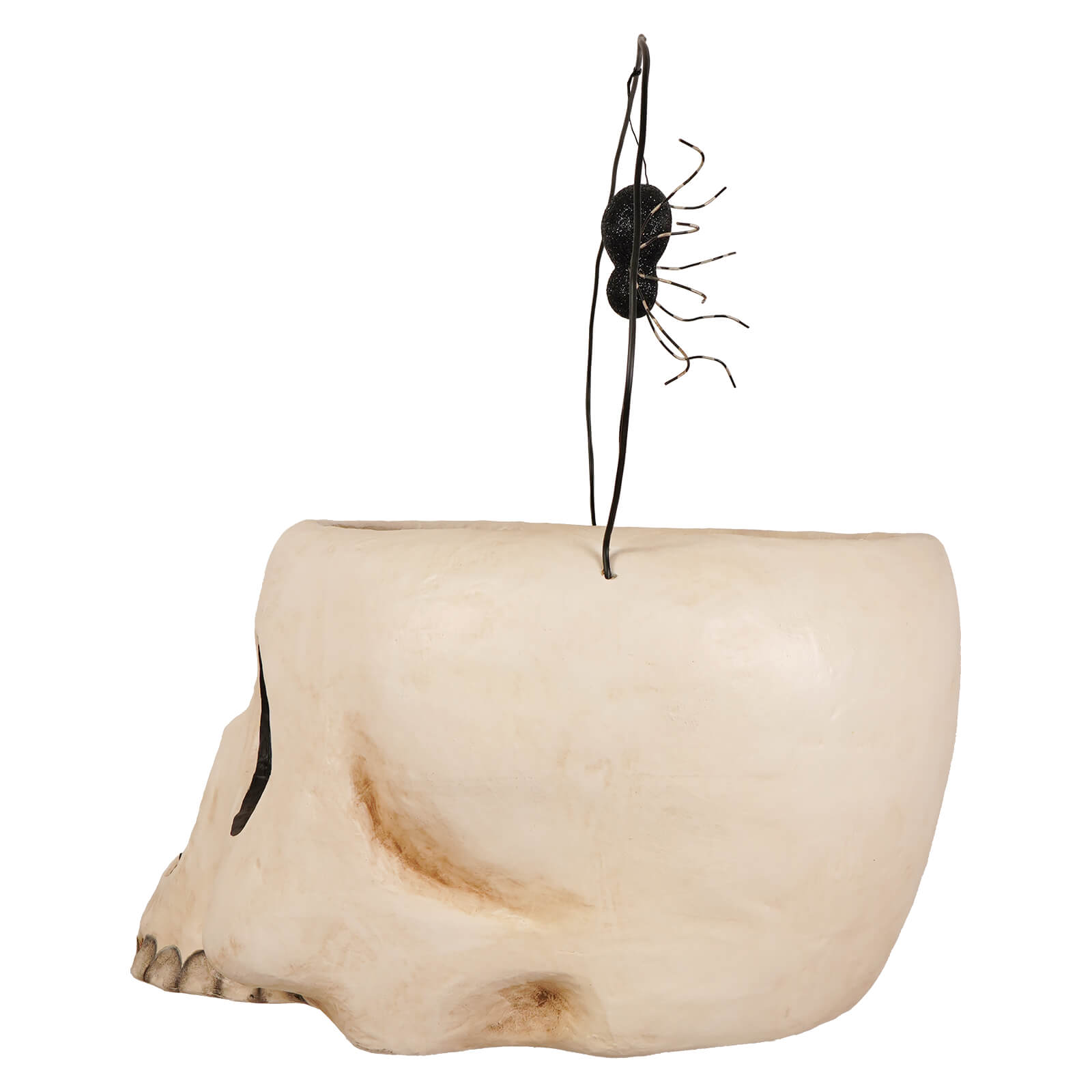 Off-white skull-shaped grim bucket planter with black wire spider decoration perfect for halloween buckets and lanterns and skeleton decor figures and ornaments