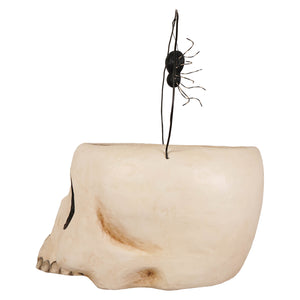 Off-white skull-shaped grim bucket planter with black wire spider decoration perfect for halloween buckets and lanterns and skeleton decor figures and ornaments
