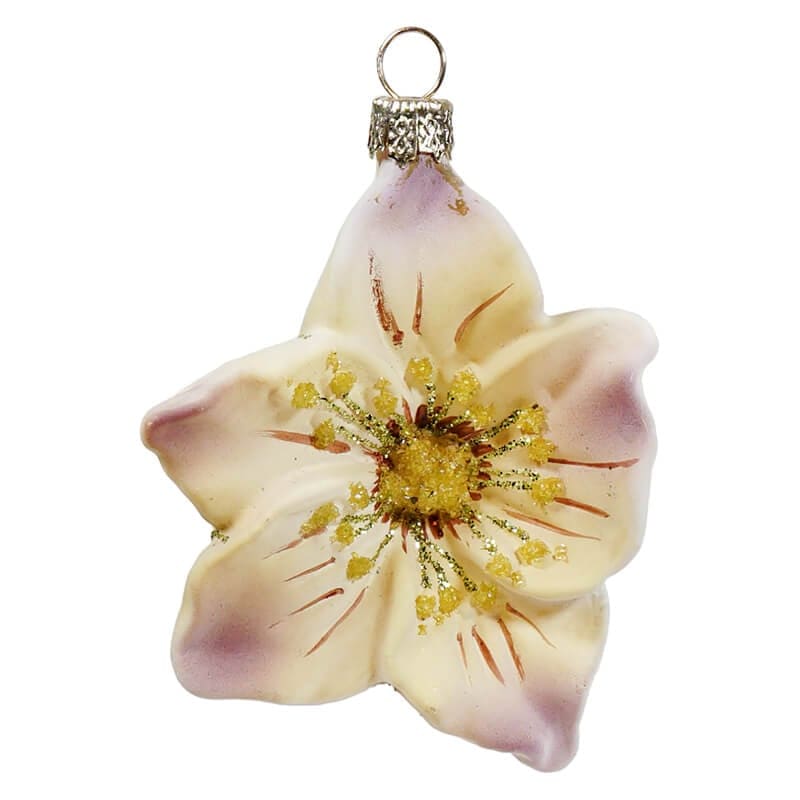 Helleborus Ornament