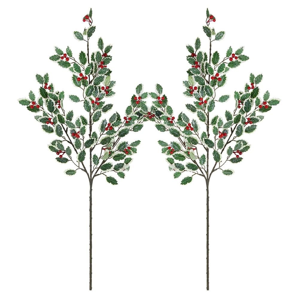 Holly Leaf Stems