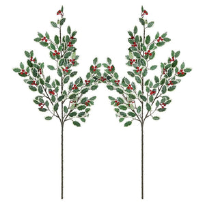 Holly Leaf Stems