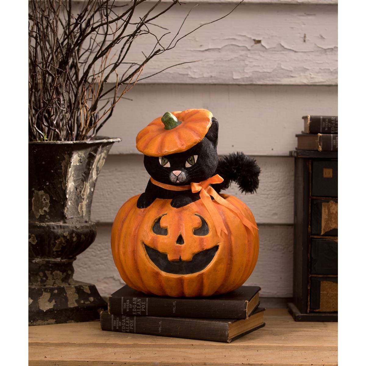 Kitty Cat in Jack - Halloween